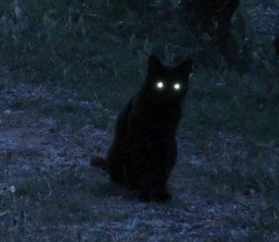 happy #assadzamanday !!