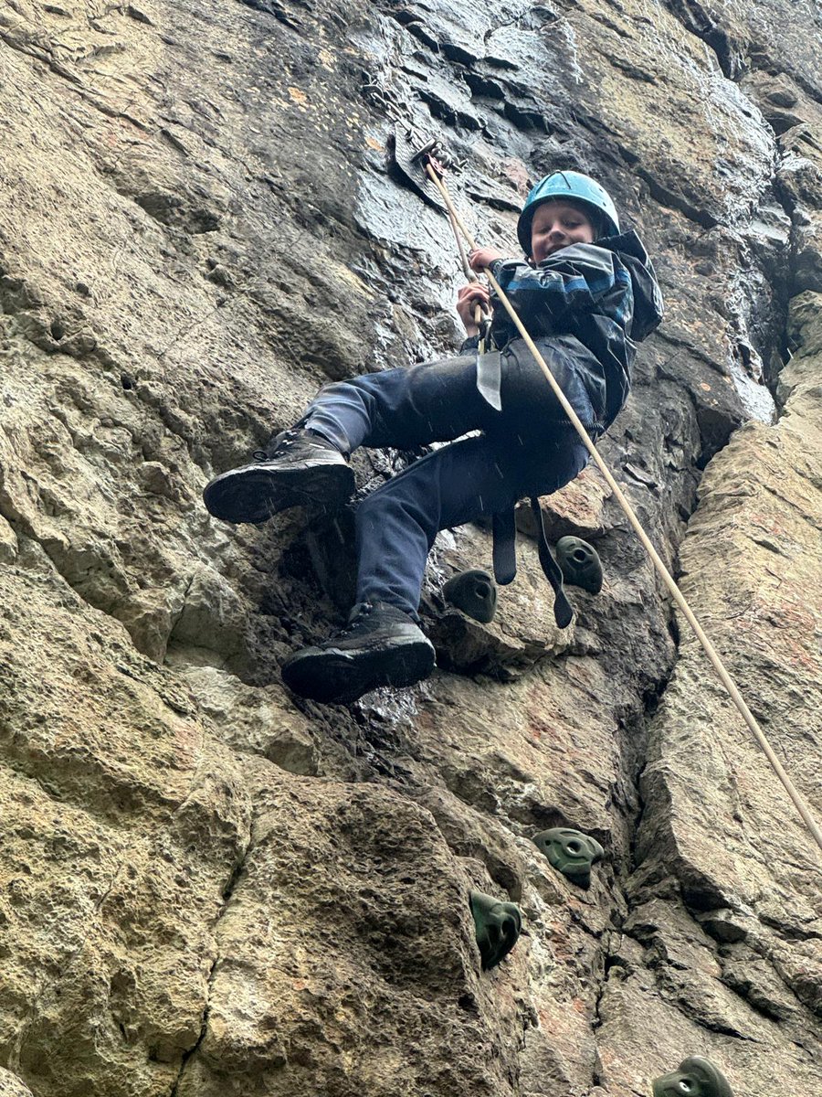 Seahorses Class tweet media