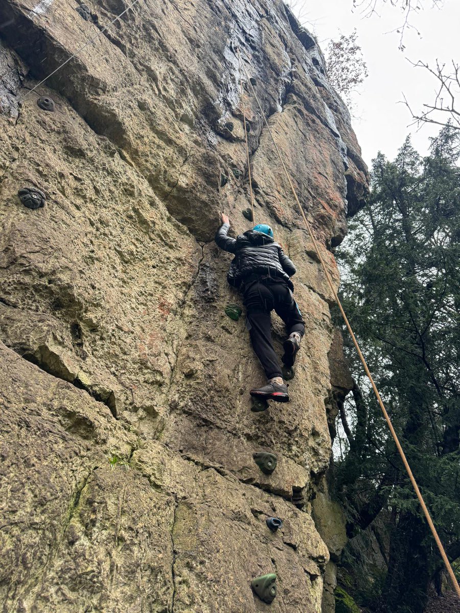 Seahorses Class tweet media