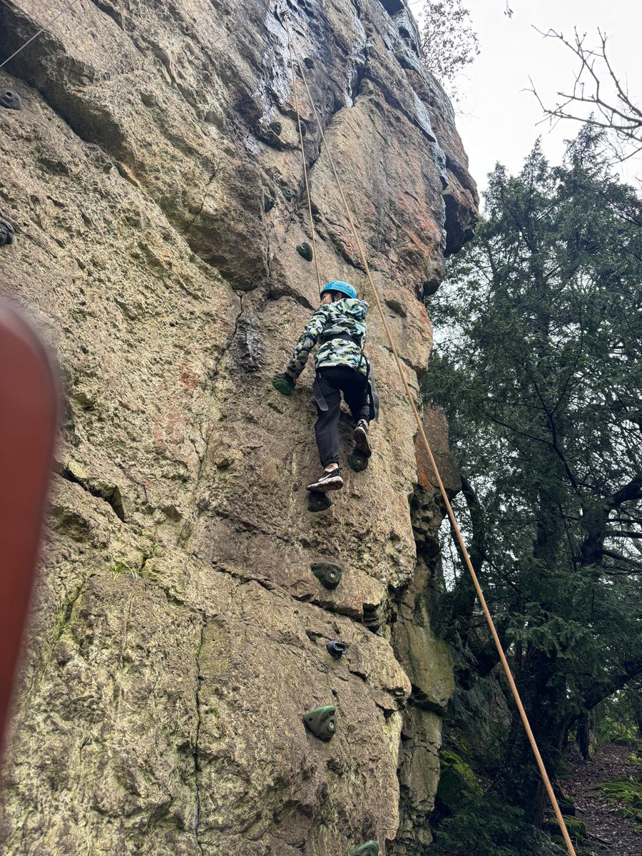 Seahorses Class tweet media