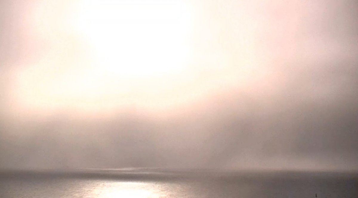 Moonlight Minx tweet media