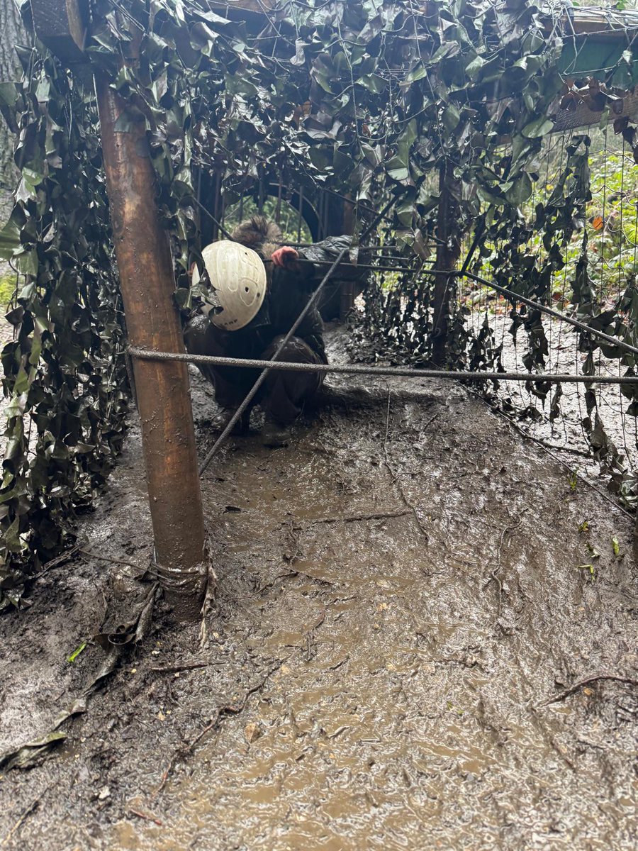 Seahorses Class tweet media