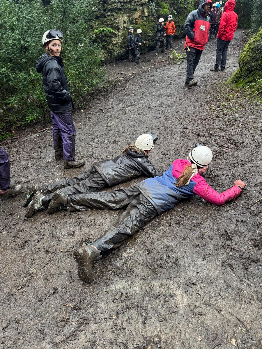 Seahorses Class tweet media