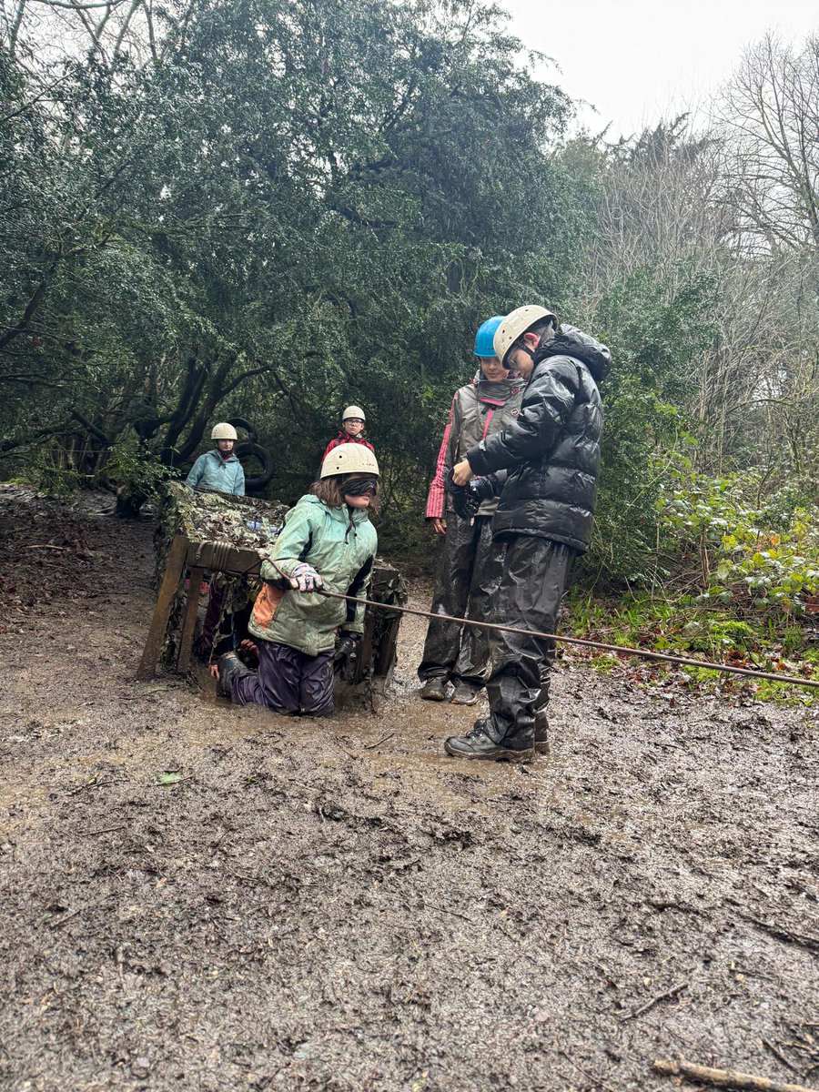 Seahorses Class tweet media