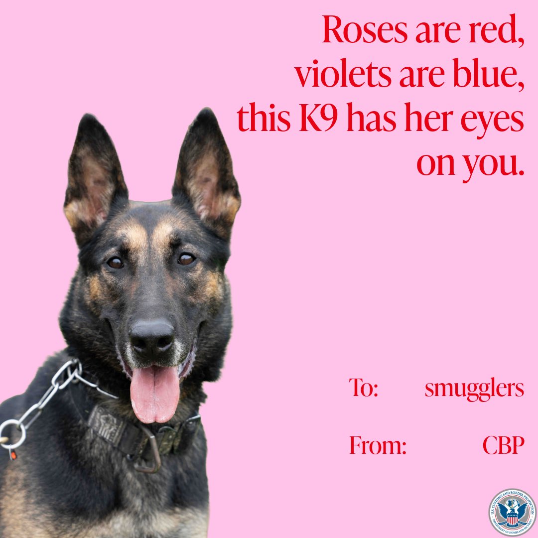 DFO Seattle Field Office tweet media