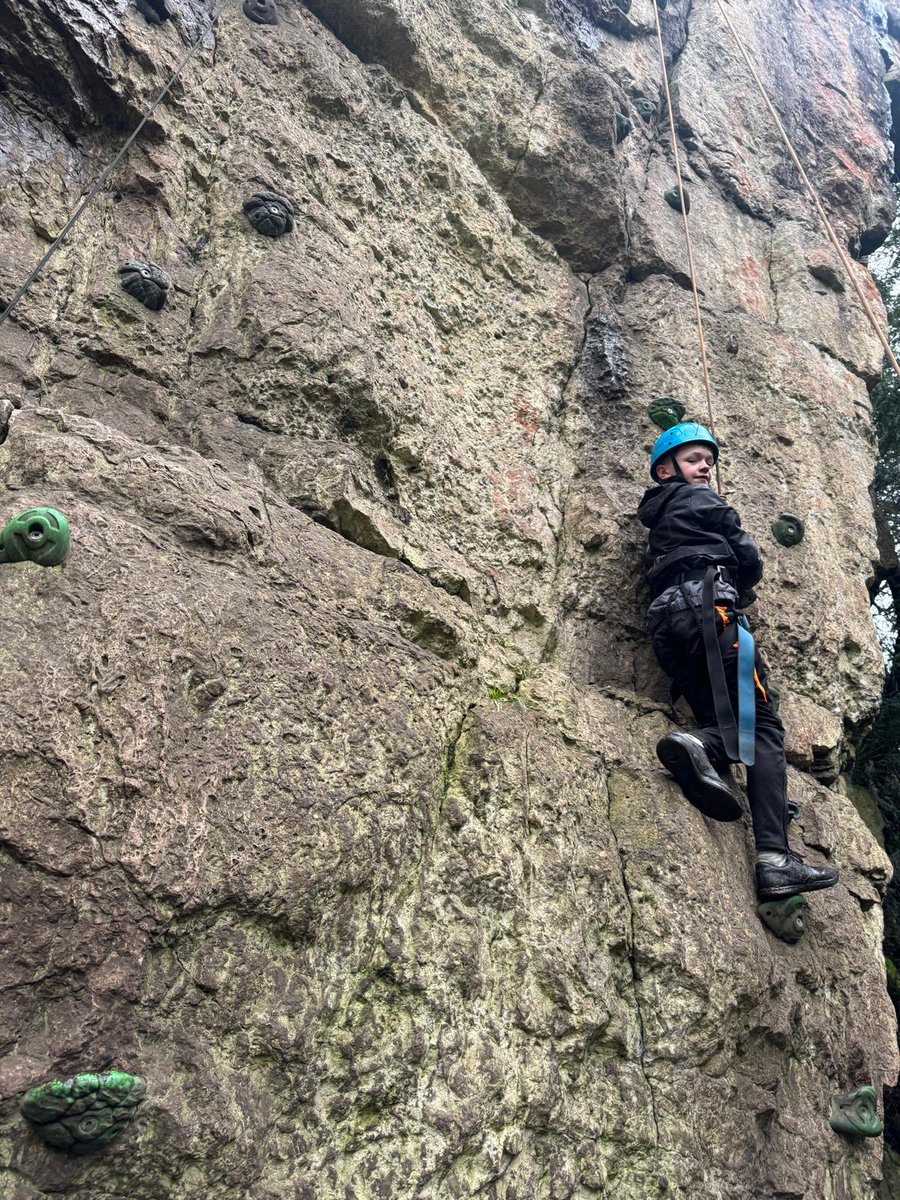 Seahorses Class tweet media