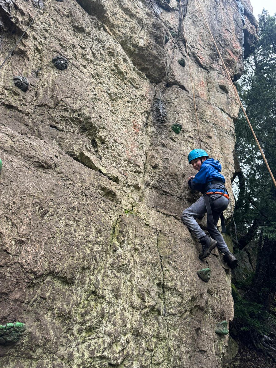 Seahorses Class tweet media