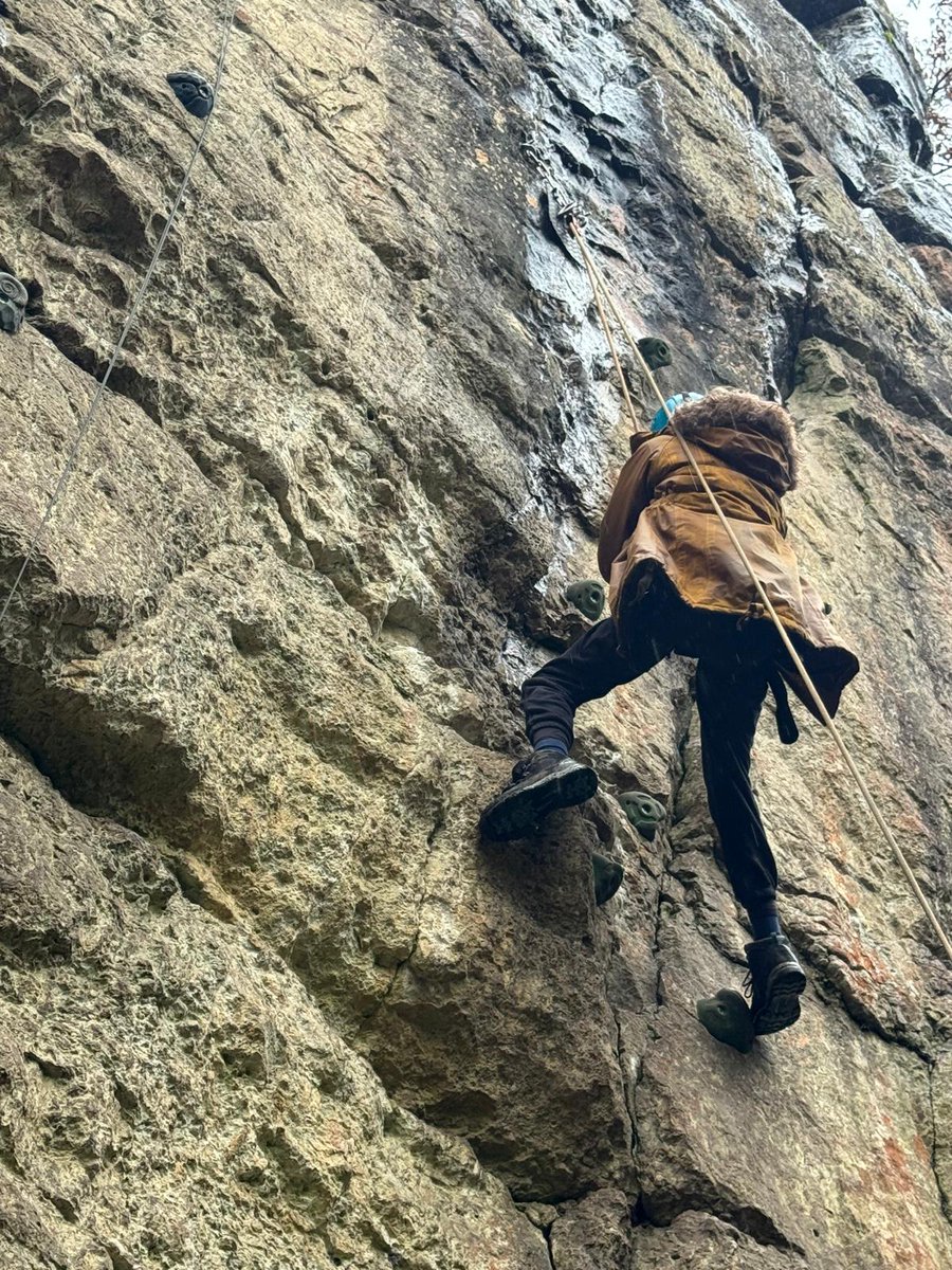 Seahorses Class tweet media