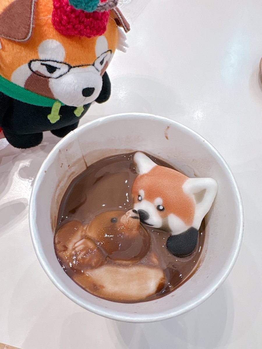 これはココアにマシュマロ浮かべるの失敗してタイタニックになった概念ドリンク