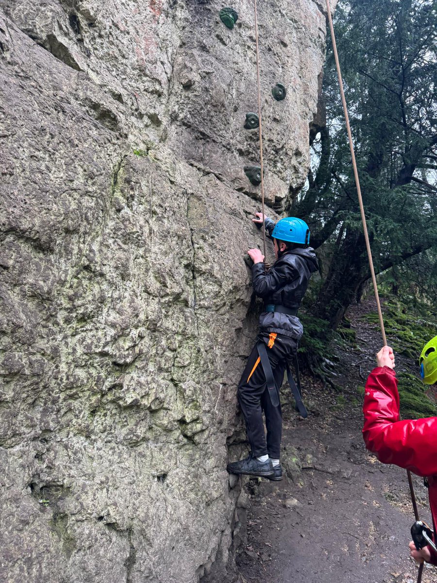 Seahorses Class tweet media