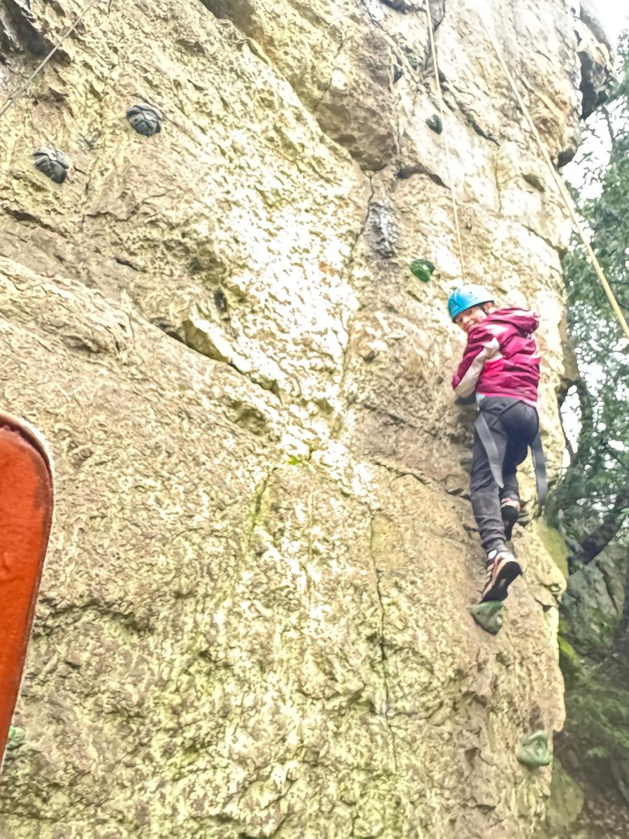 Seahorses Class tweet media