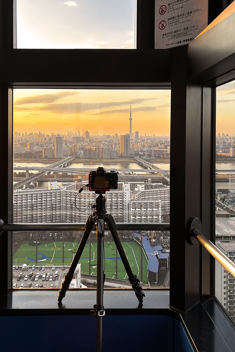 Joey J 📸 tweet media