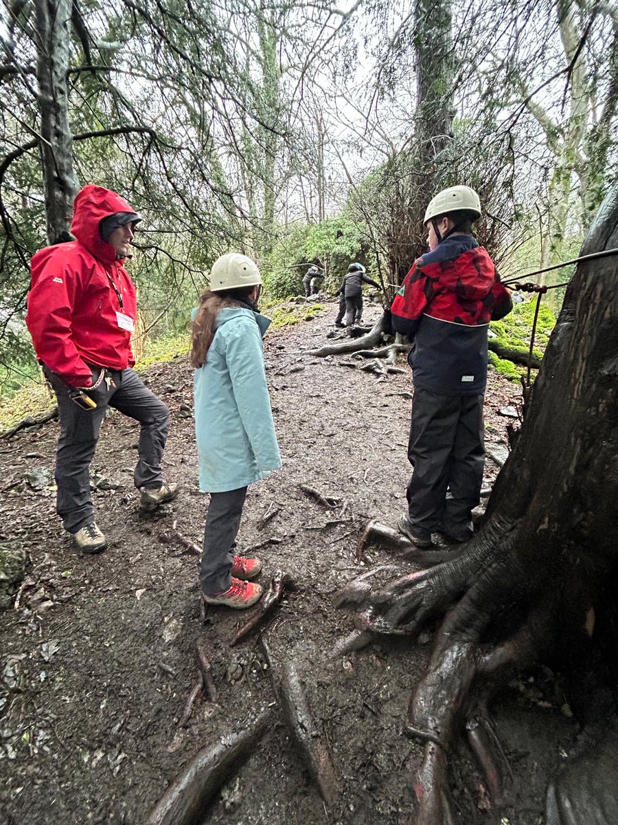 Seahorses Class tweet media