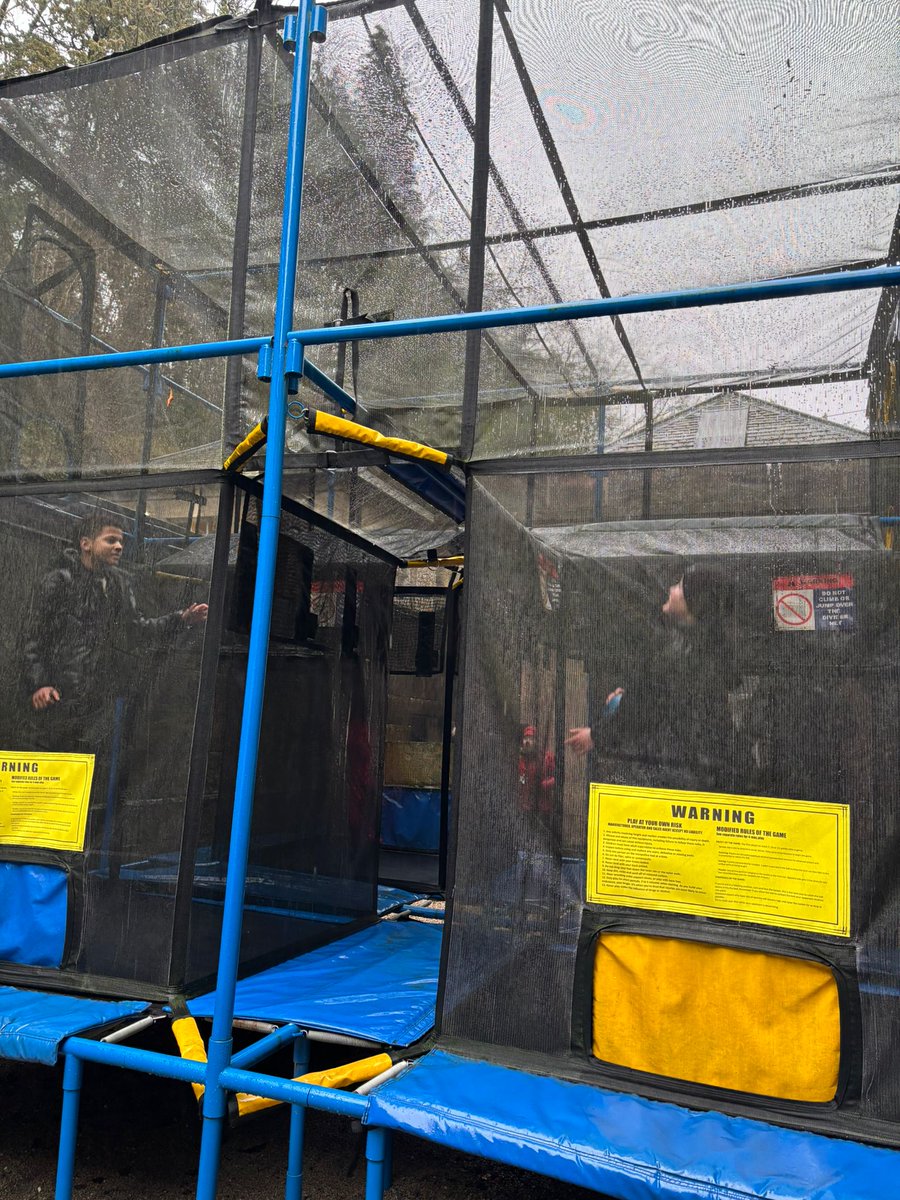 Seahorses Class tweet media