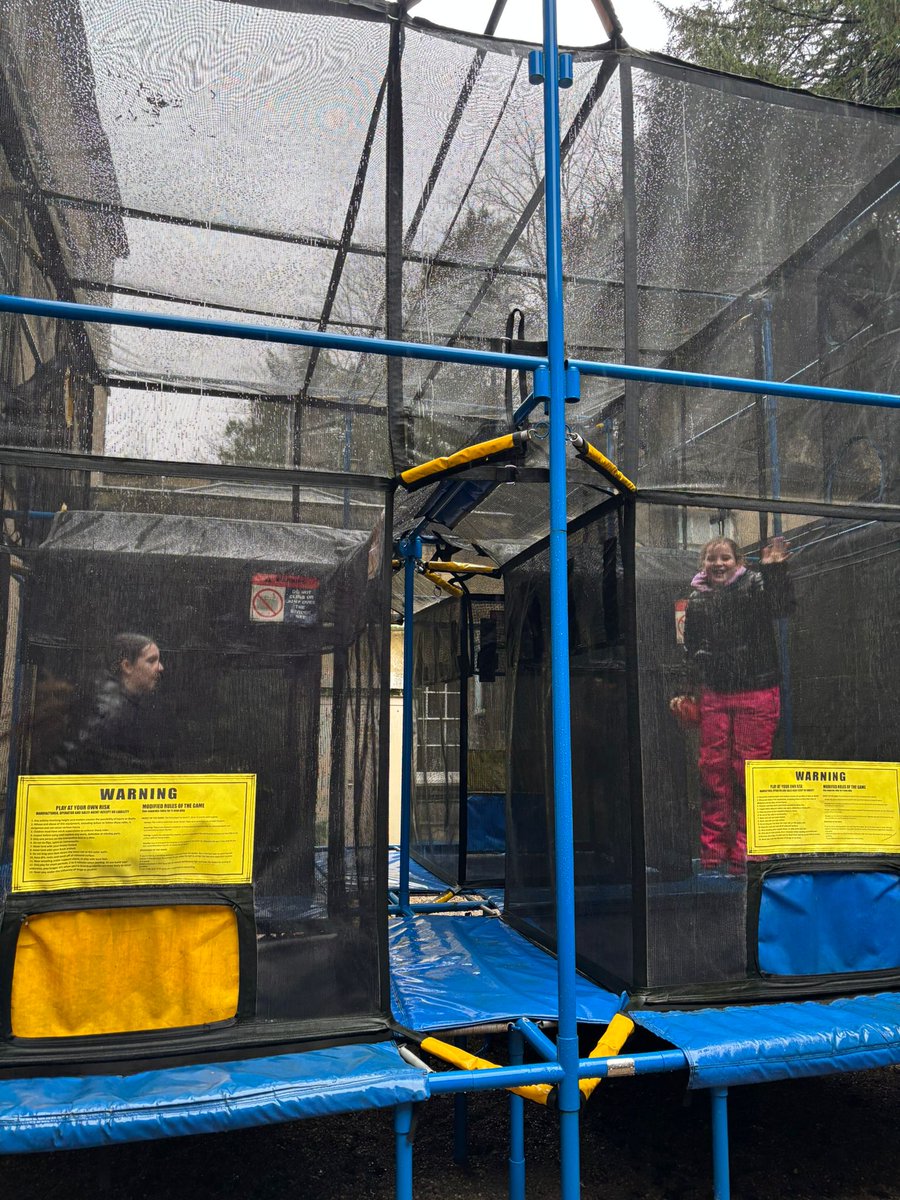 Seahorses Class tweet media