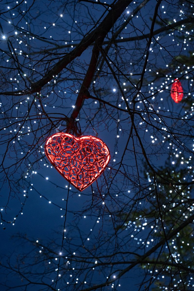 @BlachereUK tweet media