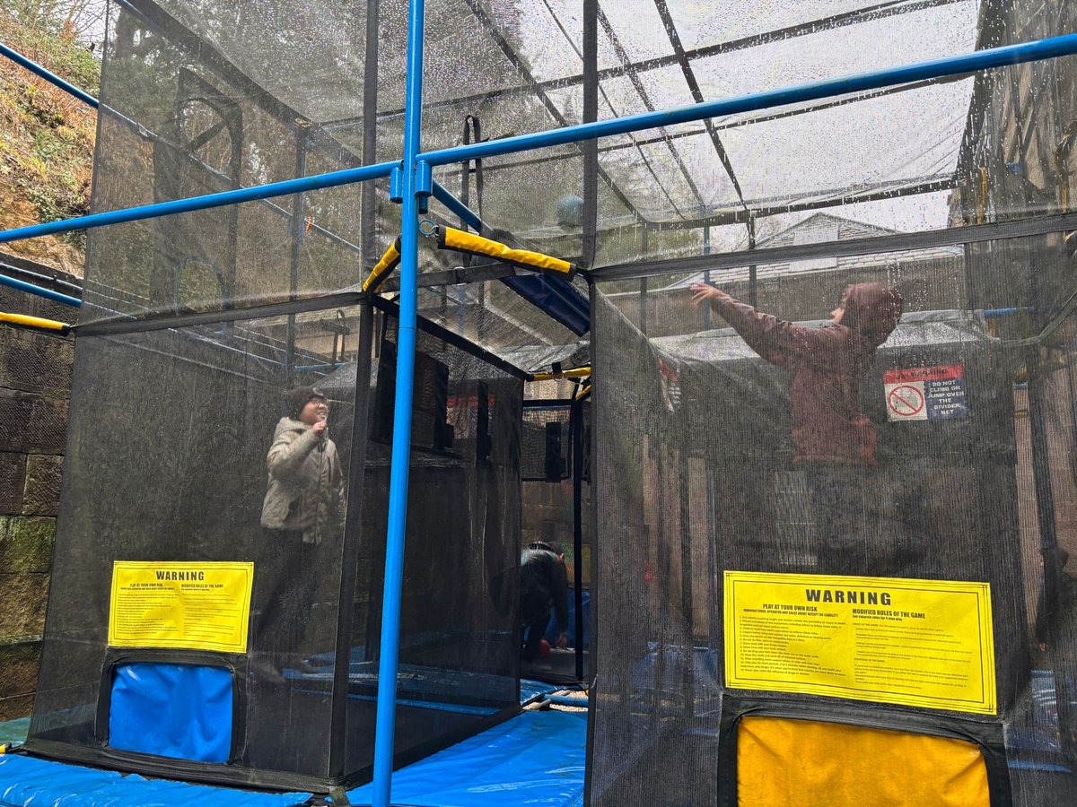 Seahorses Class tweet media