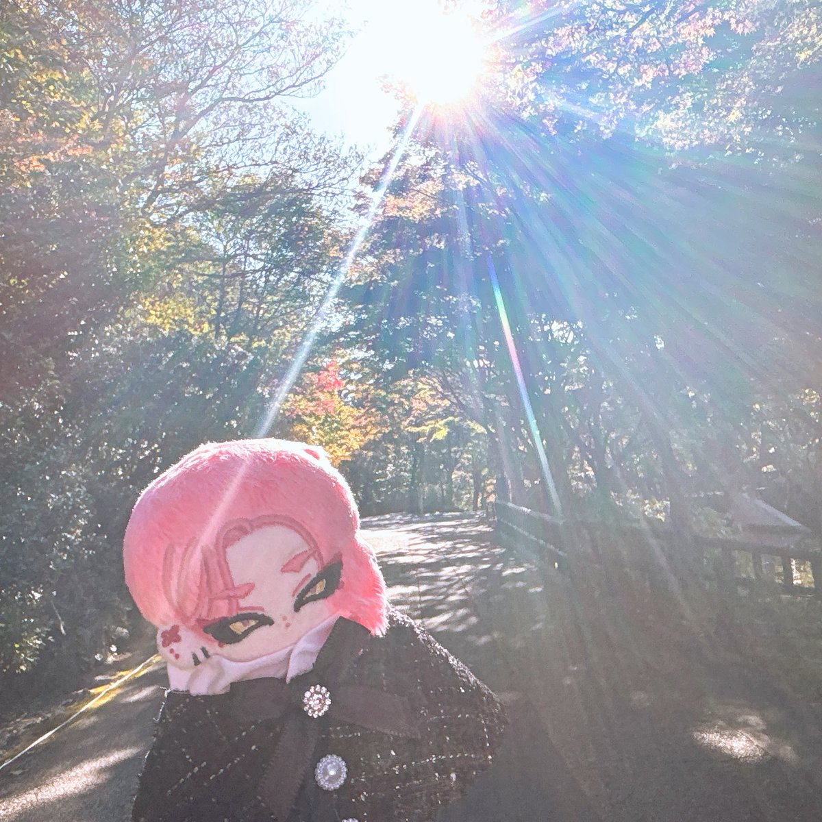 yoccolasan's tweet photo. 画像のぬいを落としてしまい探しております。
詳しいことは引用にて。引用ポストのRTにご協力ください🥲
こちらは東山動植物園のお散歩姿です🥲
#ぬいぐるみ
#落とし物
#探してます
#岡崎市
#東岡崎 https://t.co/cyDnJInXi5