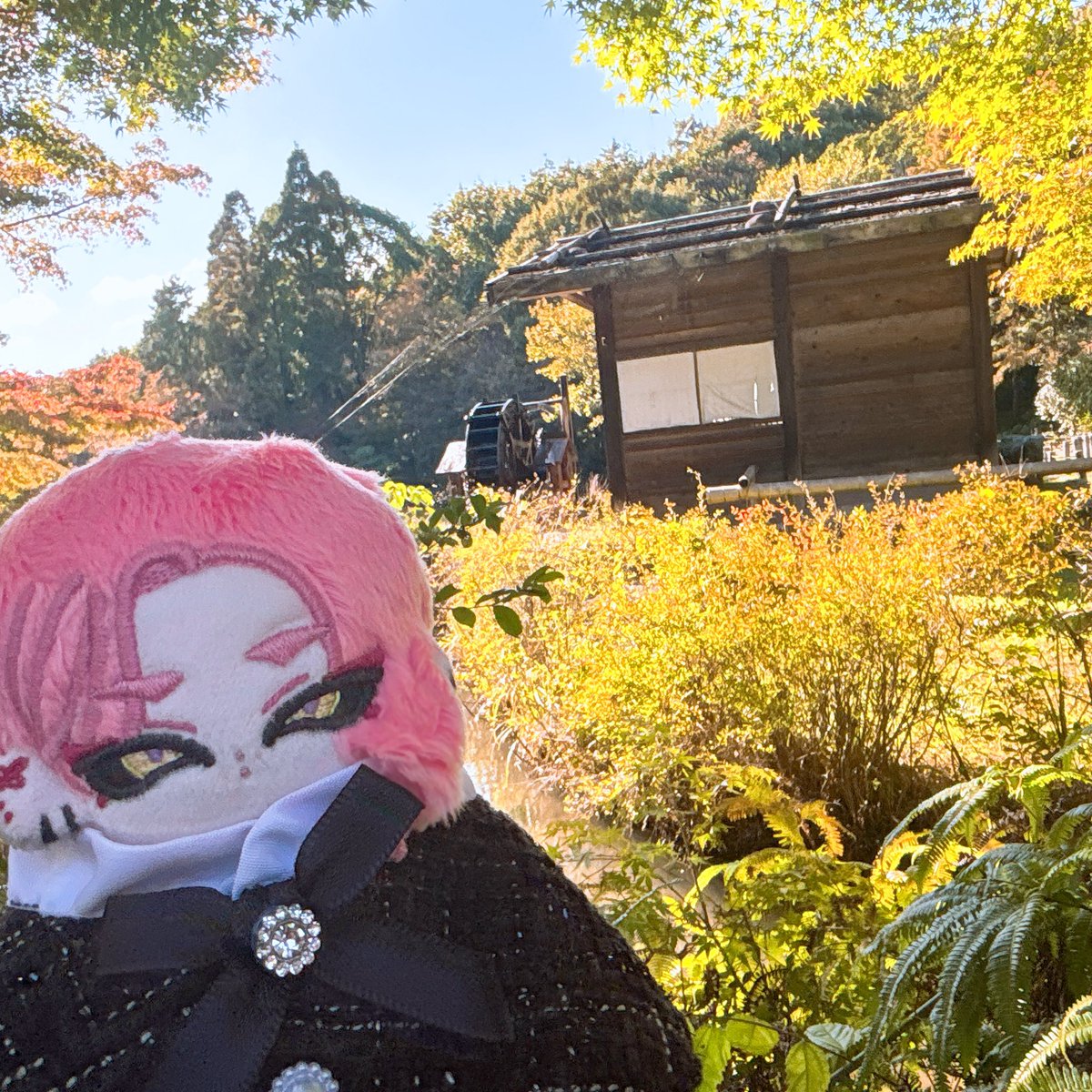 yoccolasan's tweet photo. 画像のぬいを落としてしまい探しております。
詳しいことは引用にて。引用ポストのRTにご協力ください🥲
こちらは東山動植物園のお散歩姿です🥲
#ぬいぐるみ
#落とし物
#探してます
#岡崎市
#東岡崎 https://t.co/cyDnJInXi5