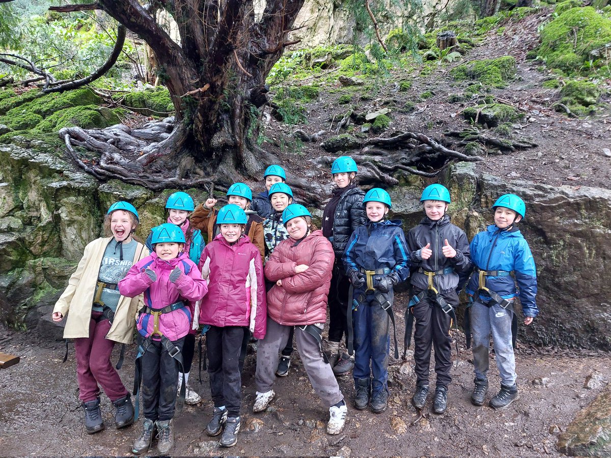 Seahorses Class tweet media