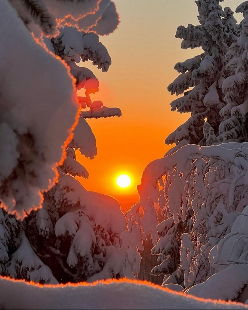 Naji_alt's tweet photo. Even in the coldest seasons,
the sun rises to remind us that warmth is possible.
Between silent trees and snow-covered paths,
a small light is enough to awaken hope.
#WinterGlow #SunriseMagic #NatureBeauty #WarmthInCold #HopeReturns โ๏ธ๐
โจ https://t.co/MAwamavR1q