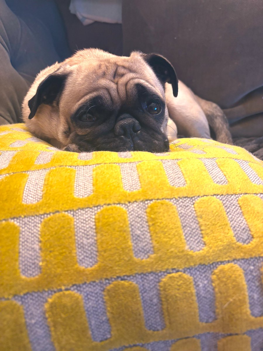 Lester Freamon tweet media