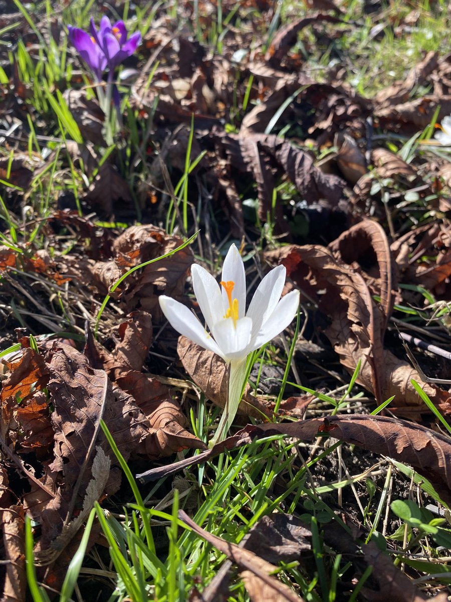 Энн Эриер 🇺🇦 tweet media