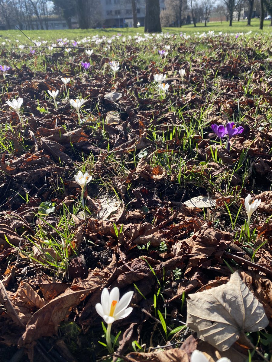 Энн Эриер 🇺🇦 tweet media