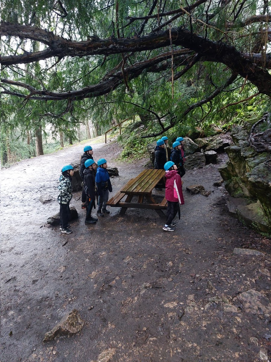 Seahorses Class tweet media