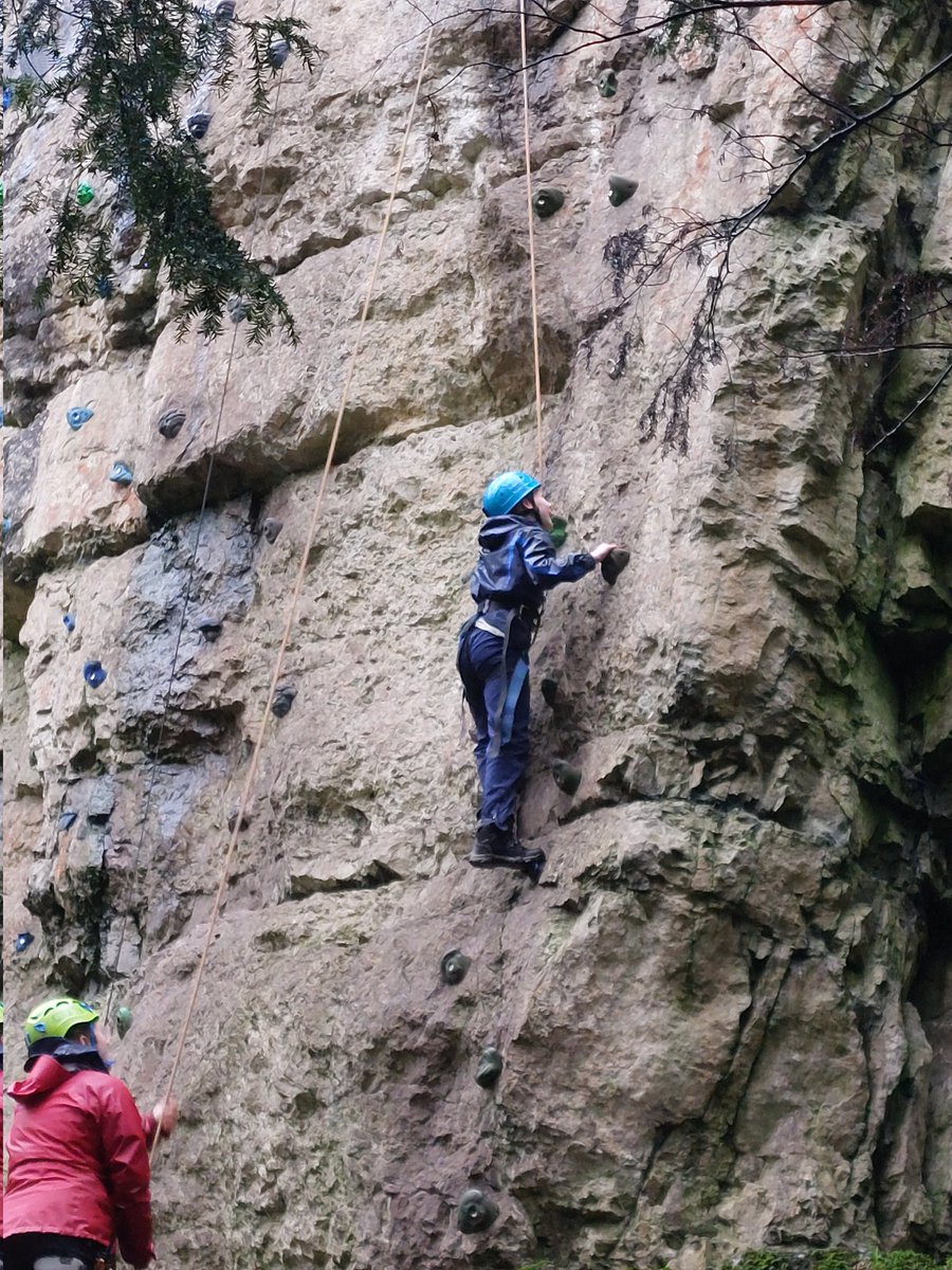 Seahorses Class tweet media