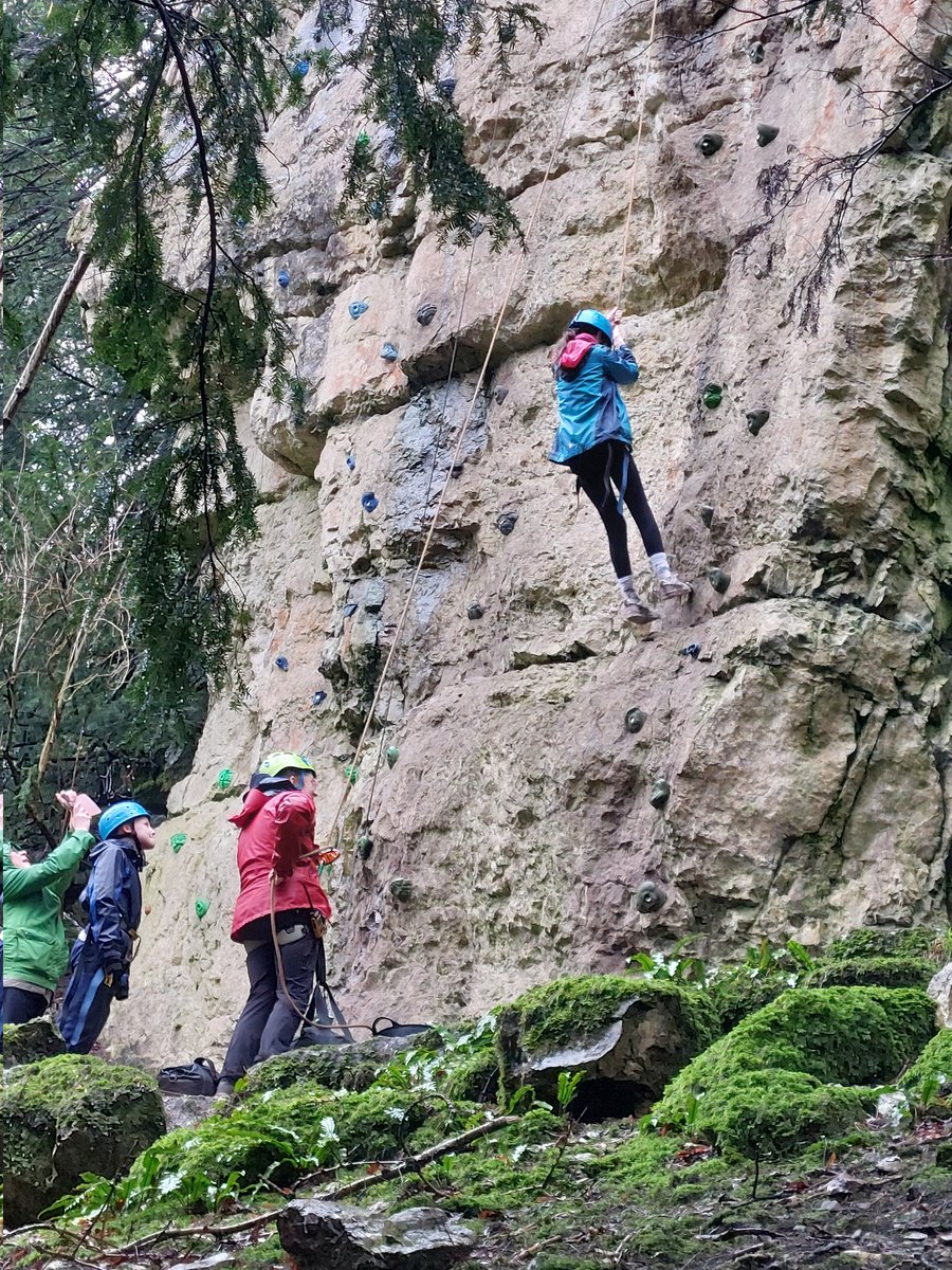 Seahorses Class tweet media