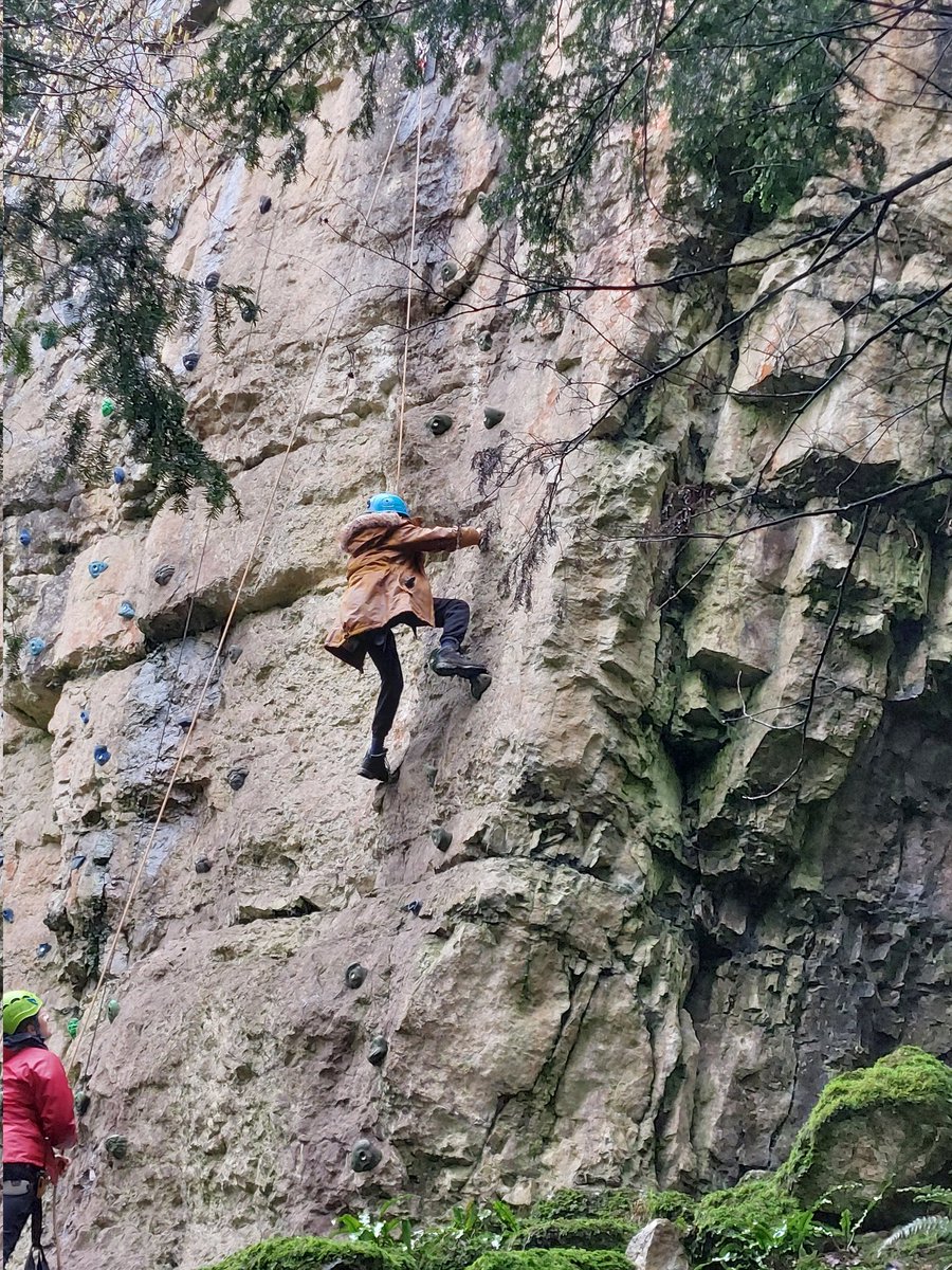 Seahorses Class tweet media