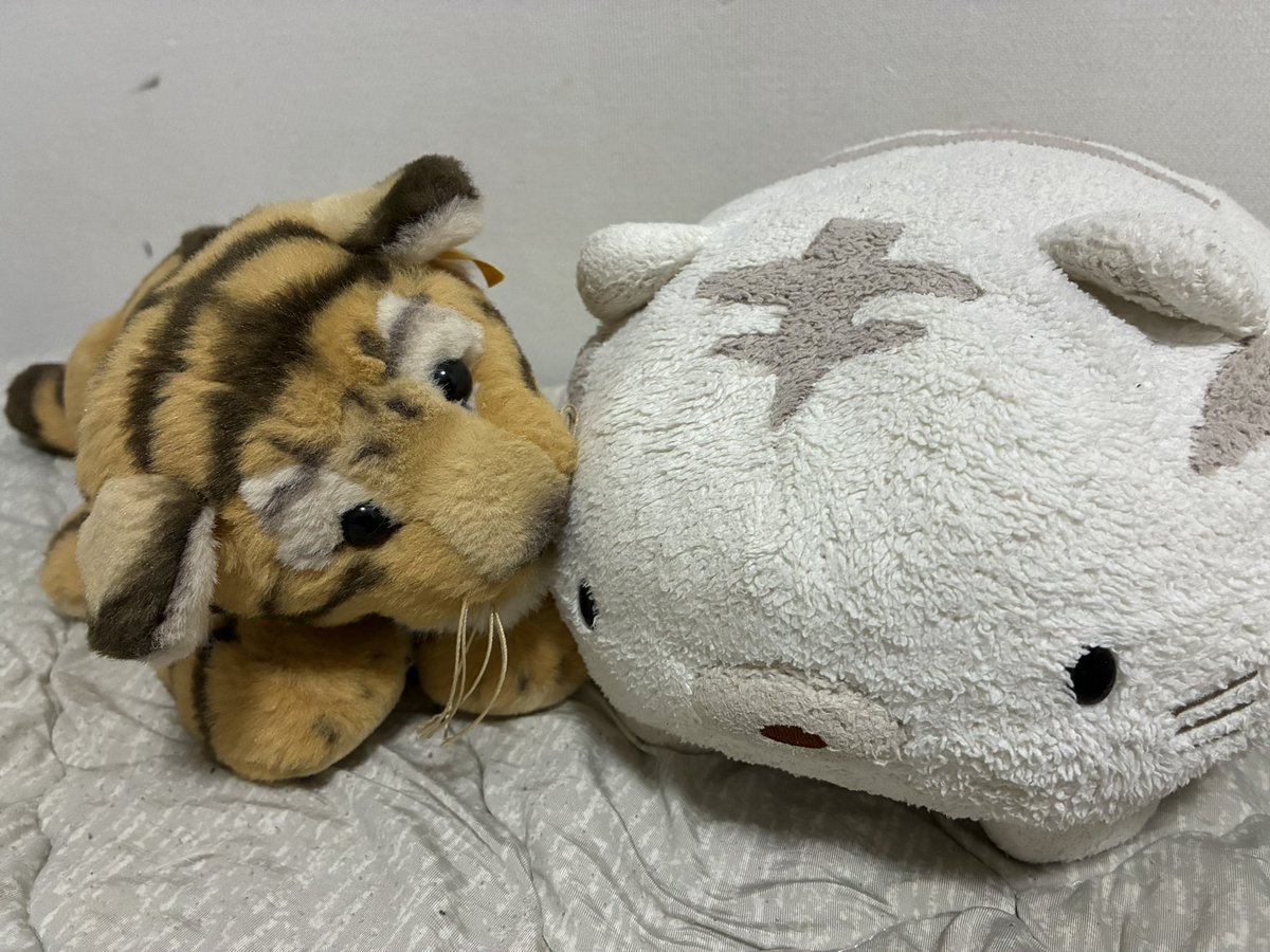 虎之介(Toranosuke) (@toranosuke_ama) / Posts / X