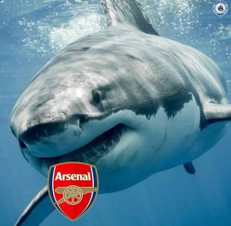 J2theC123's tweet photo. arsenalll are you watching #mcfc https://t.co/9HQxmCOIph