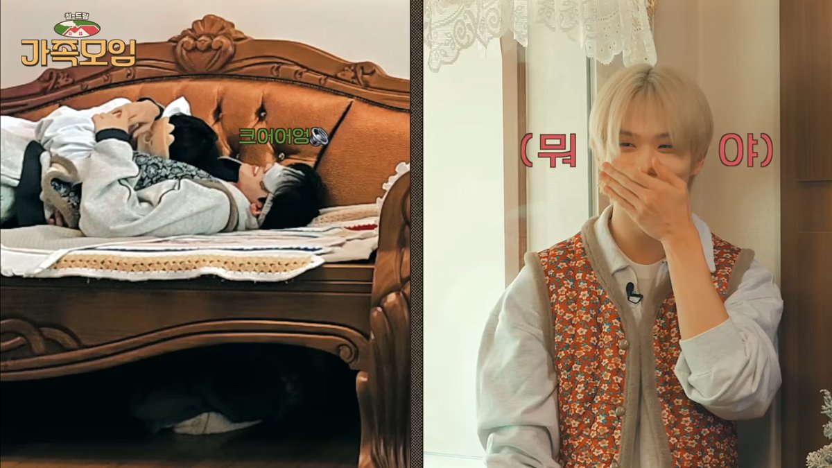 아 잼동 직관 소녀햄 ㅈㄴ 웃김 ㅅㅂ ㅜㅠㅜㅜ