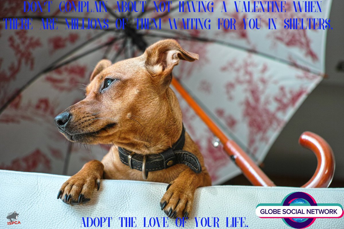 Freddy de Freitas (@freitasnyc) on Twitter photo 