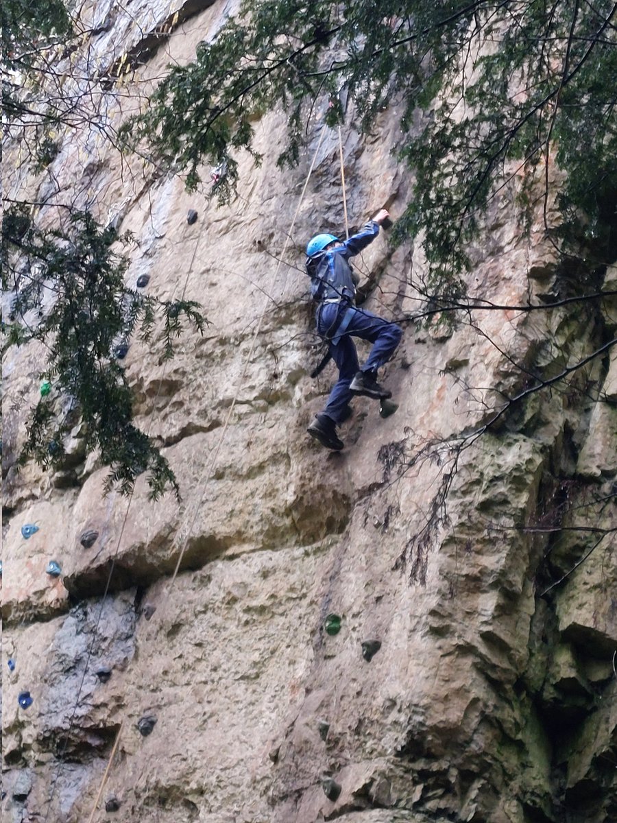 Seahorses Class tweet media