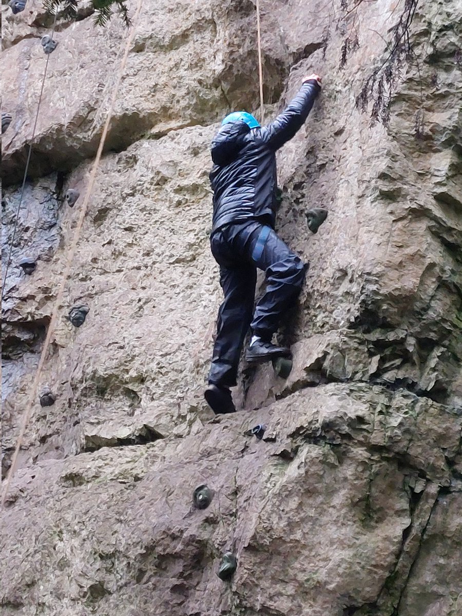 Seahorses Class tweet media