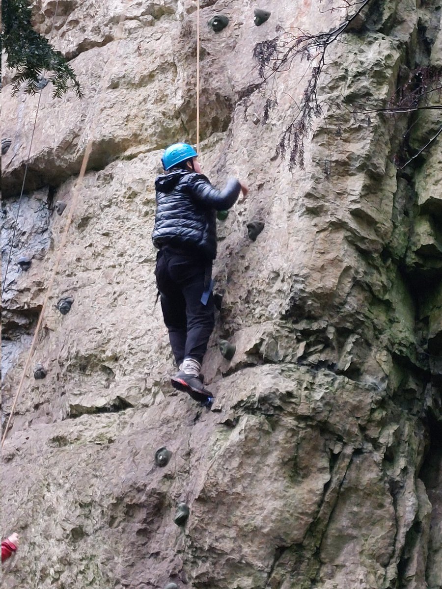 Seahorses Class tweet media