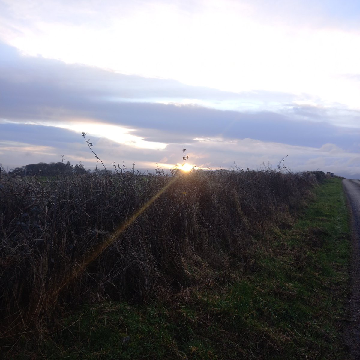 BDuffma's tweet image. #Clare #Burren #100daysofwalking 🟡🔵🖤🤍💚💛  ⚪️⚫️  a cutting wind in it!🥶