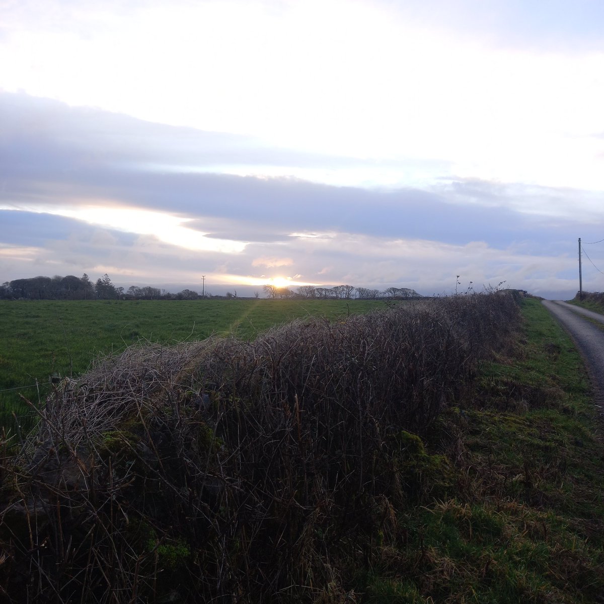 BDuffma's tweet image. #Clare #Burren #100daysofwalking 🟡🔵🖤🤍💚💛  ⚪️⚫️  a cutting wind in it!🥶