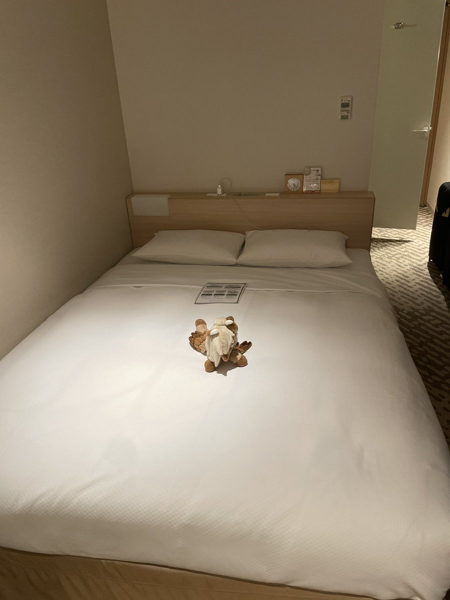 🌿 Amyquel 🔜 LIFC2026 tweet media