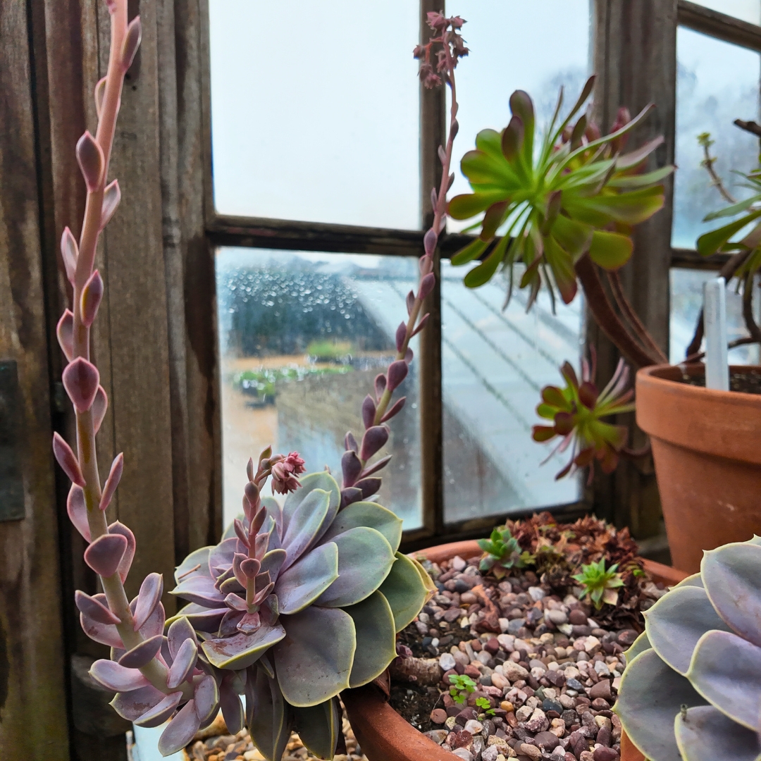 Parham House & Gdns tweet media