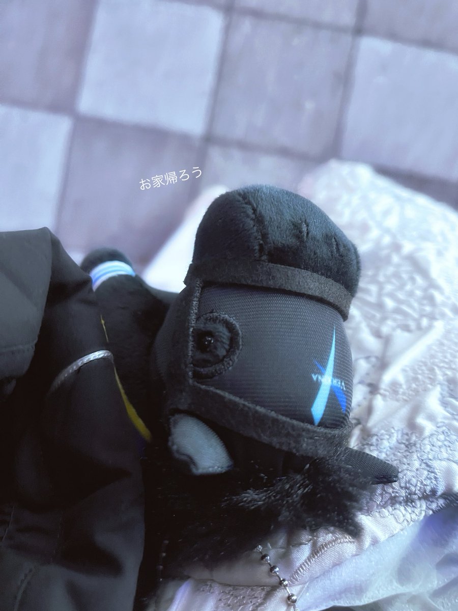 取れたー！
手のひらサイズ、かわいい