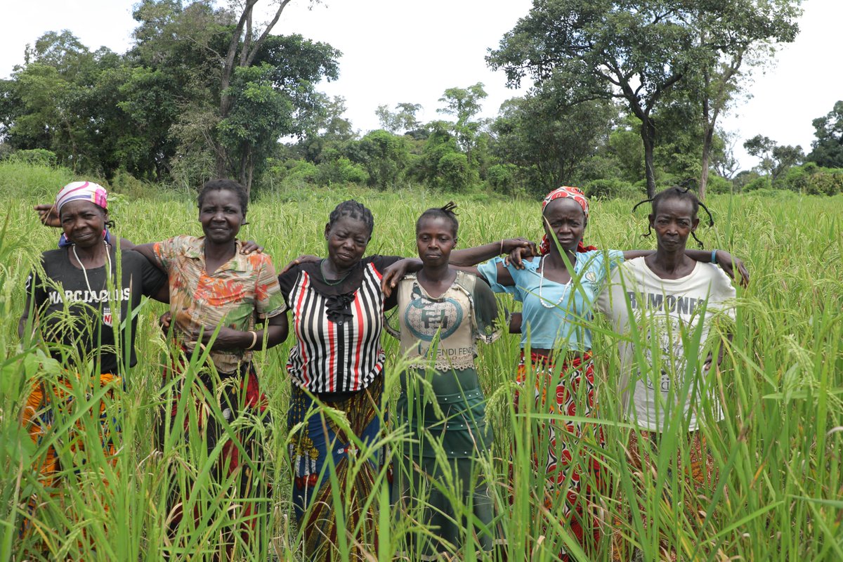 UNHCR South Sudan tweet media