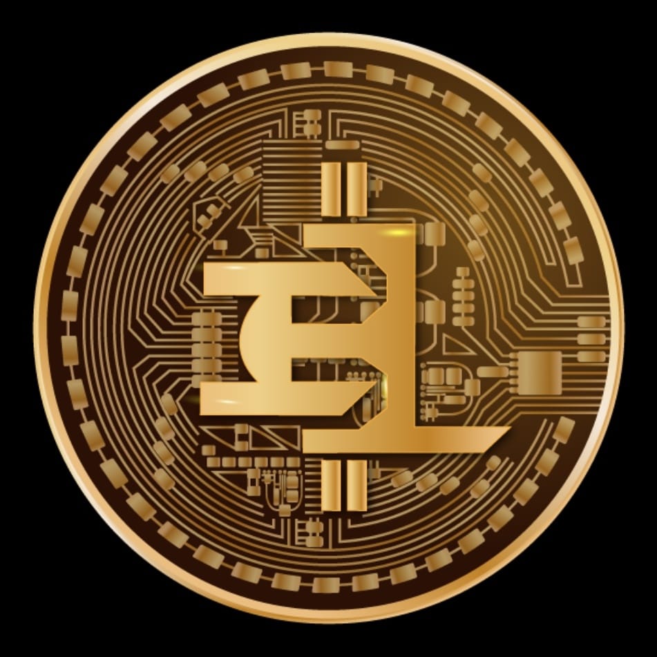 IHodlLife 🛡 tweet media