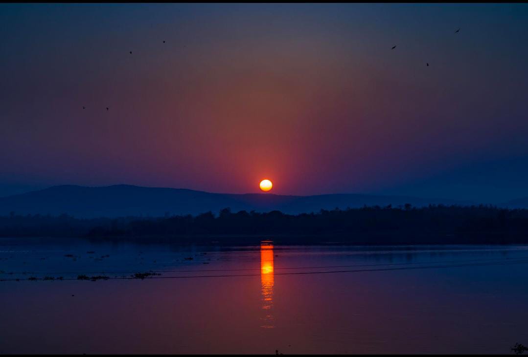 सांझ ढली, नभ हुआ गुलाल,
फैला चारों ओर मधुर उजाल।

पंछी लौटे अपने धाम,
गूंज उठा वन का विश्राम।

सूरज ओझल, छाई लाली,
मुस्काई चुपचाप हर डाली।

मंद पवन ने गीत सुनाया,
थका दिवस घर लौट आया।

निशा द्वार पर खड़ी मुस्काए,
सपनों का संसार बसाए।

कवि- अमन जैन ✍️