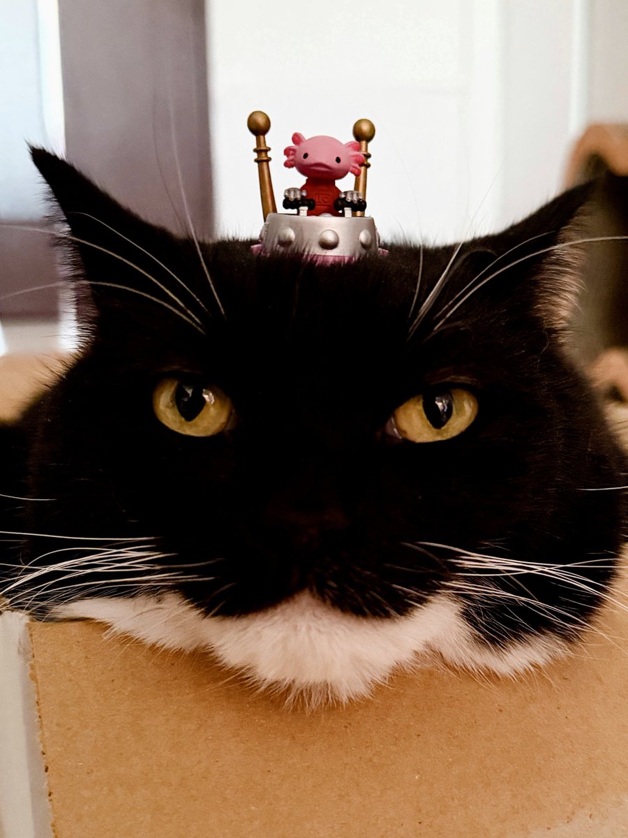 Uni has been taken over by an alien!