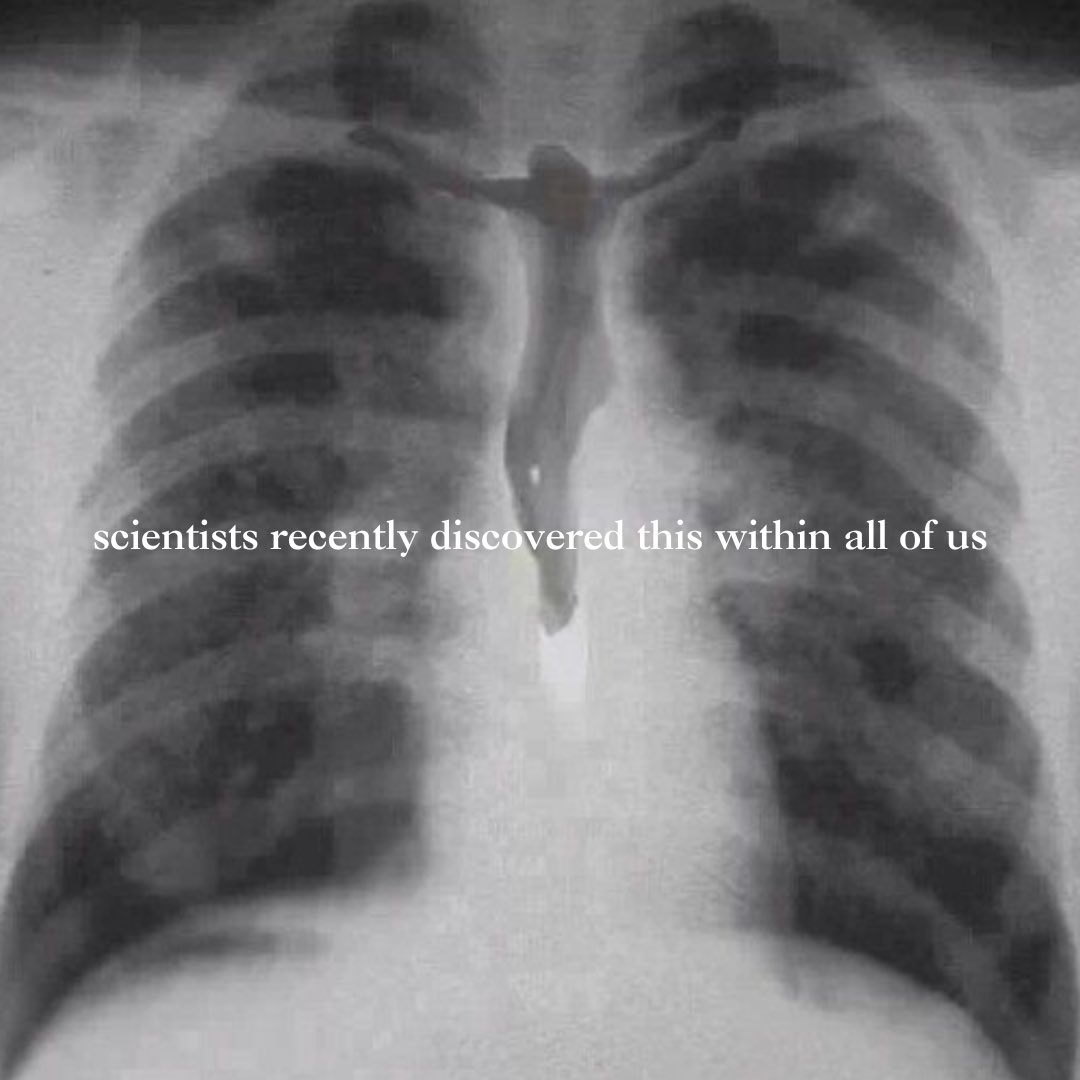 Nick Holz (@thenickholz) on Twitter photo 