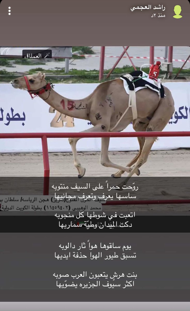 vot4_n's tweet photo. الجديد

#هجن_الرئاسة https://t.co/eWP9eL0Ppt